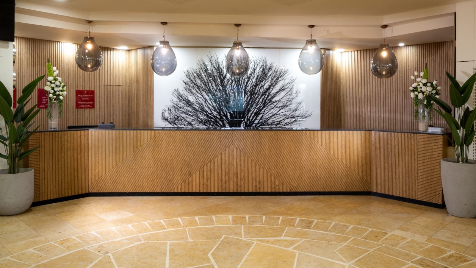 תמונת קבלת המלון